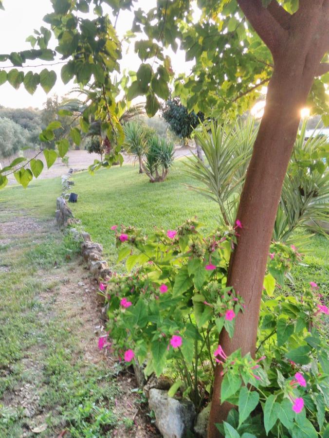 Quinta Da Perdiz Country House Villa Santarém Buitenkant foto